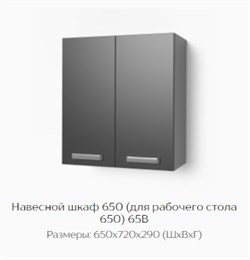 Навесной шкаф 650 (для рабочего стола 650) 65В "Нагано" (Тэкс) 3188