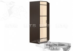 Шкаф угловой "Сакура" (БТС) 4546