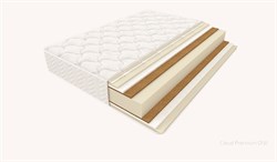 Cloud Premium ONE (Кансай) 4702