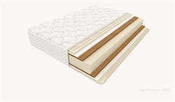 Cloud Premium DUO (Кансай) 4703