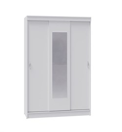 Шкаф-купе "Бася" (ТЭКС) 4851