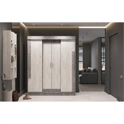 Шкаф-купе "Гамма" ШК 01 5548