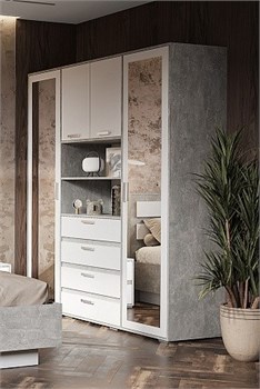 Шкаф с зеркалом "Денвер" ШК-02 5550