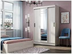 Шкаф-купе "Тео" 1,3м (БТС) 5587