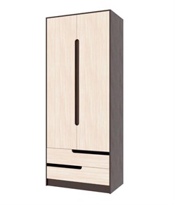 Шкаф 2-х створчатый "Гавана ЛДСП" (Тэкс) 2011