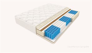 Cloud Premium Spring ONE (Кансай) 4700