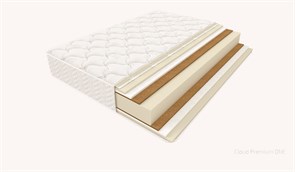 Cloud Premium ONE (Кансай) 4702