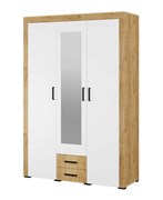 Шкаф 3-х ств 