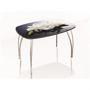 Стол обеденный 