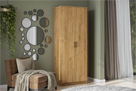 Шкаф двухстворчатый 