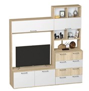 Центральная секция 