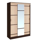 Шкаф-купе 1,5м 