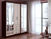 Шкаф - купе "Маэстро" (БТС) 2638