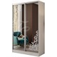 Шкаф-купе "Тринити-2 NEW" (Миф) 3593