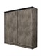 Шкаф-купе "Триумф-12" (Антей) 5441