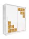 Шкаф-купе "Саваж" 2 m (Фелисити) 5491